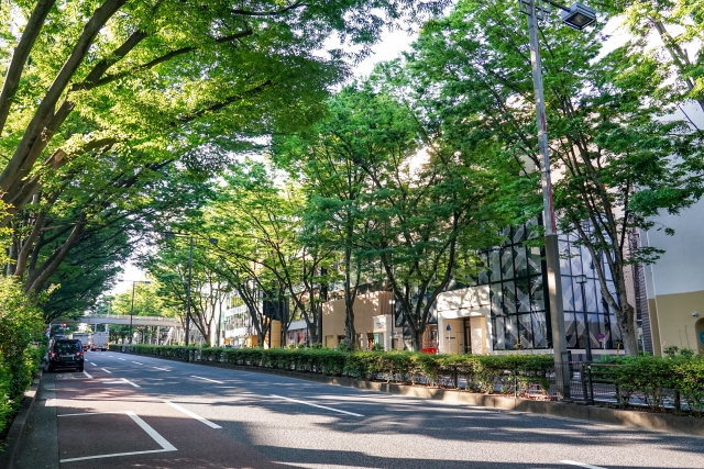 第20回｜朝の空気が少し違って感じた日 →「変わらない日々の中にある更新」【日常発見の窓口から】