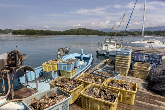 瀬戸内海のかき大量死は「不漁」だけの問題ではない─災害級リスクが突きつける中小企業経営の現実
