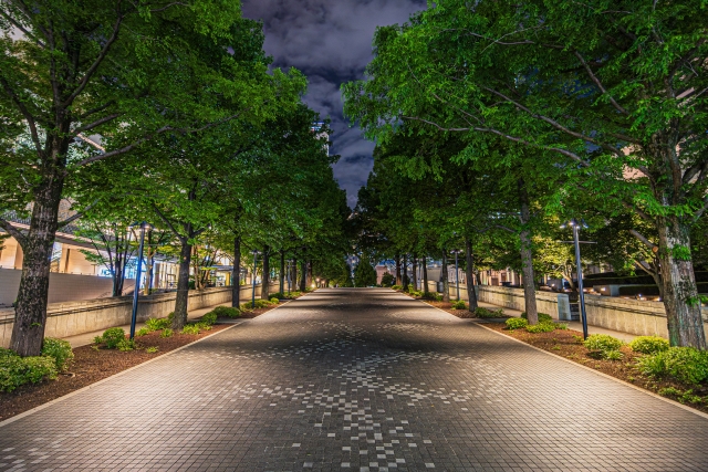 第31回｜言いそびれた一言を思い出した帰り道─「言葉にならなかった本音」【日常発見の窓口から】